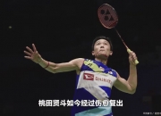 开云体育APP下载-关于法国羽毛球队逆转印尼羽毛球队，安赛龙打破历史纪录的信息