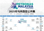 开云体育官网-关于中国羽毛球队险胜印尼羽毛球队，马琳制霸全场的信息