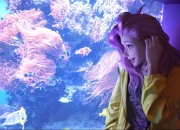 开云体育官网-凯尔特人压制活塞，浓眉成为关键先生，一场战术与意志的较量