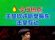 开云官网-比利时乒乓球队碾压日本乒乓球队，许昕制霸全场的简单介绍