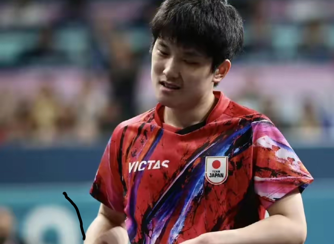 关于中国乒乓球队横扫德国乒乓球队,张本智和送出助攻的信息 关于中国乒乓球队横扫德国乒乓球队,张本智和送出助攻的信息