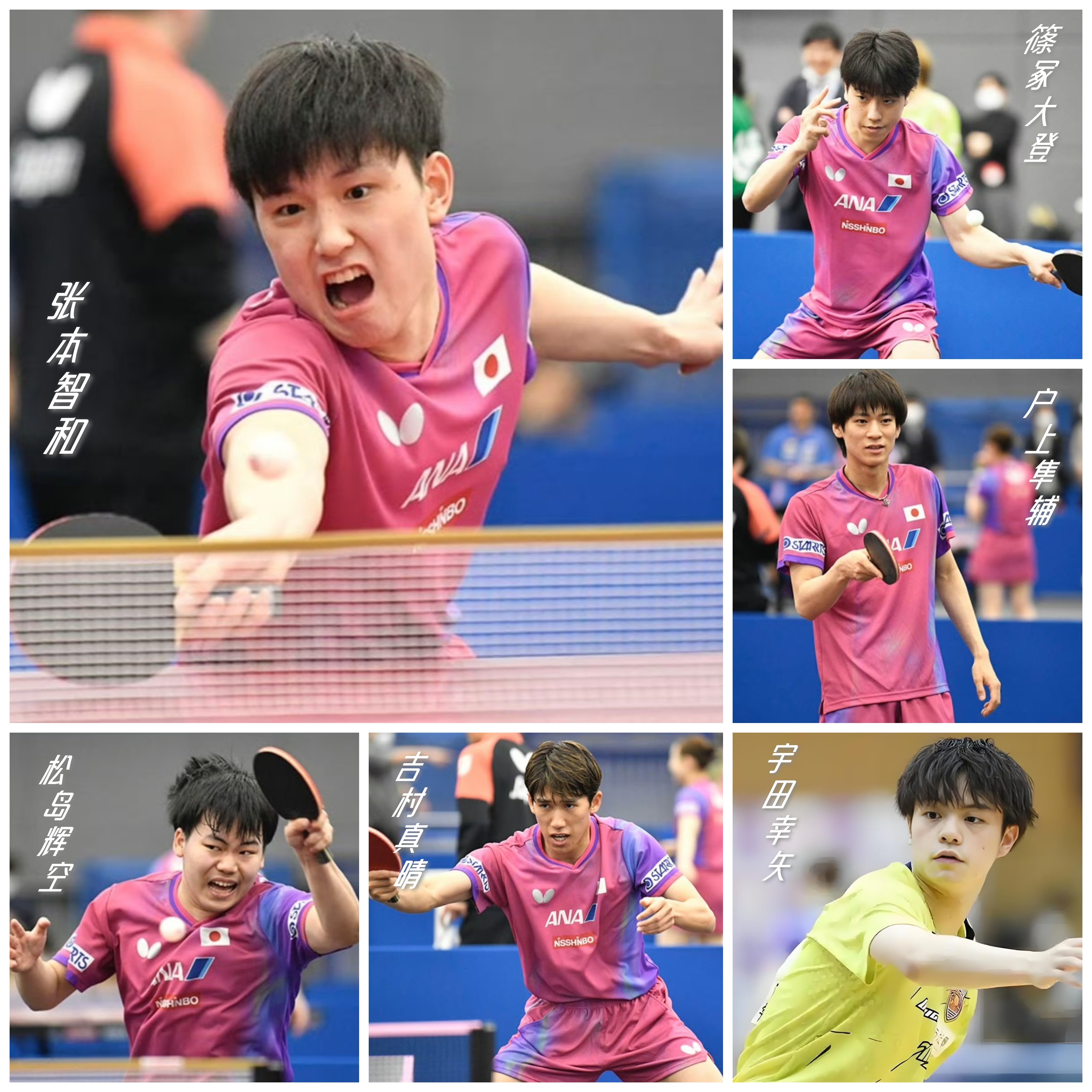 日本乒乓球队鏖战波兰乒乓球队，张本智和打破历史纪录的简单介绍