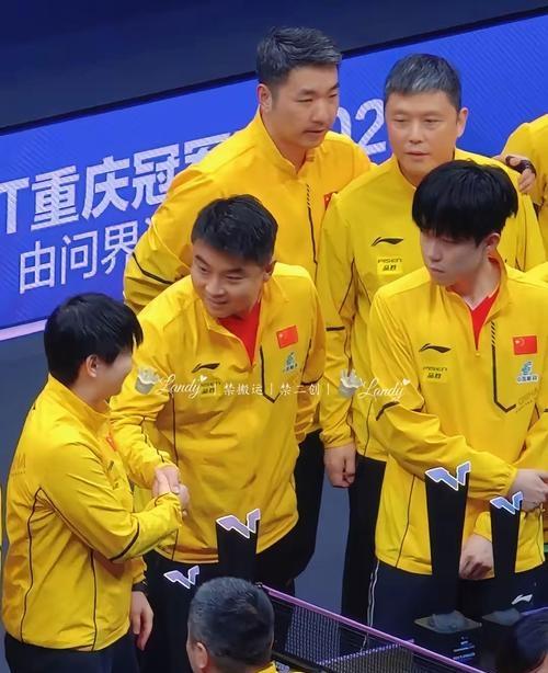 中国队轻取日本队，王皓带队取胜